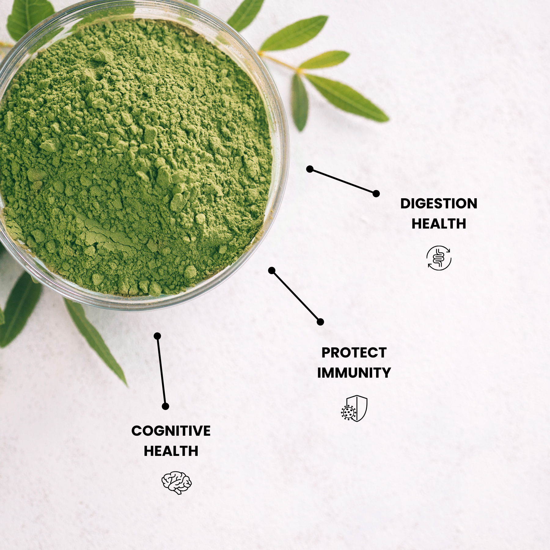 Vitality Elixir Green Powder